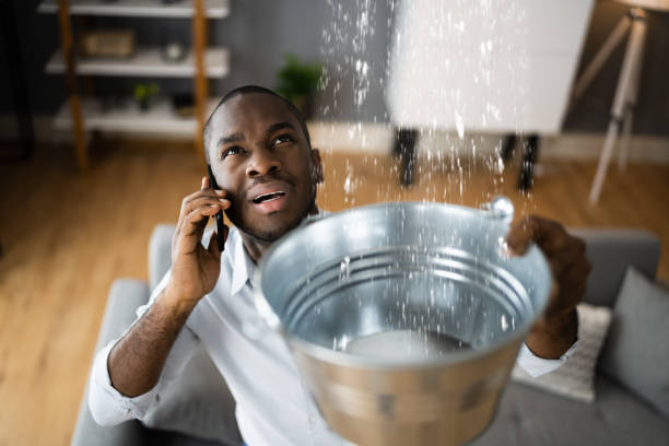 Water damage restoration experts in MI