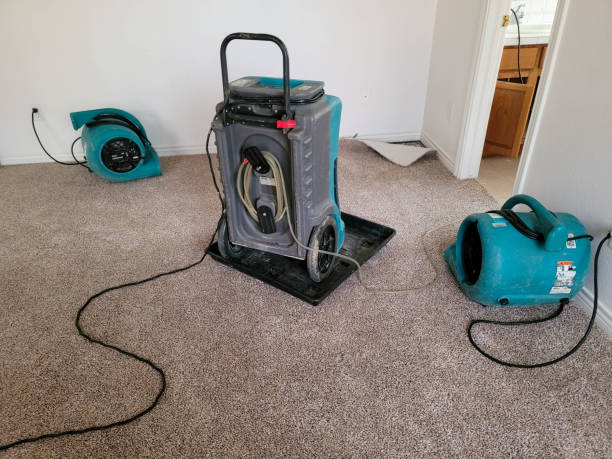 Best Carpet water damage restoration  in Vandercook Lake, MI