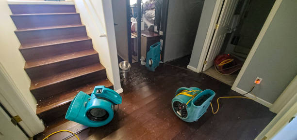 Best Mold removal after water damage  in Vandercook Lake, MI