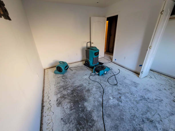 Best Commercial water damage restoration  in Vandercook Lake, MI