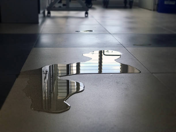  Vandercook Lake, MI Water damage restoration Pros