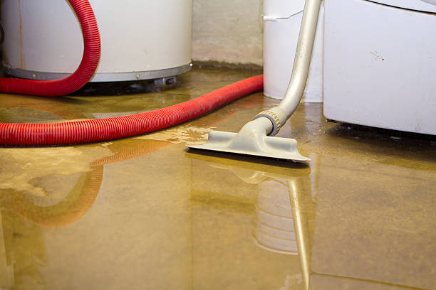 Best Emergency water damage restoration  in Vandercook Lake, MI