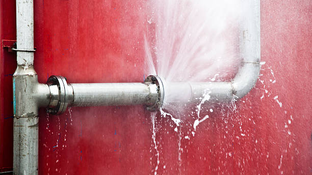 Best Fire Damage Restoration  in Vandercook Lake, MI
